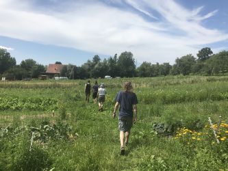 Rundgang auf dem Gemüsefeld von SlowGrow (Juli 2021)